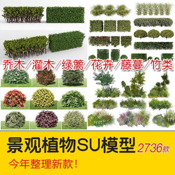 园林景观庭院植物花草树木绿篱乔木花卉灌木丛草图大师SU模型-刷子库
