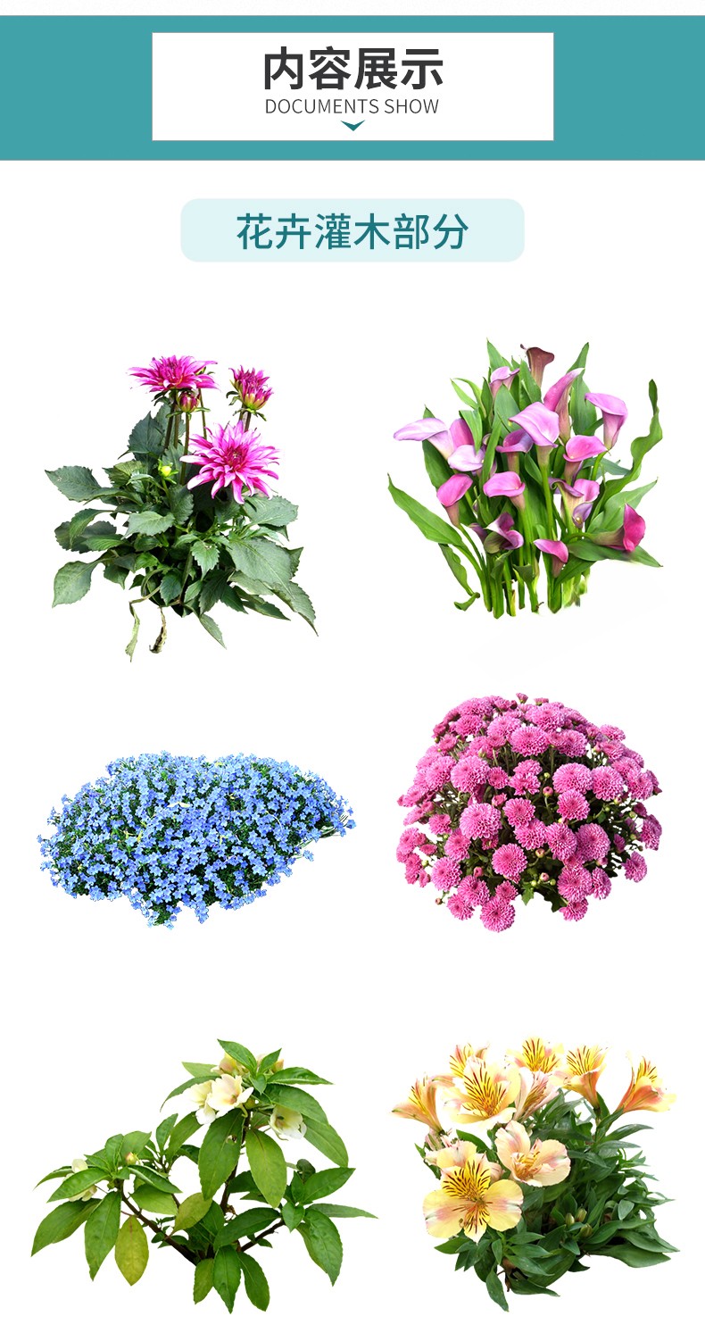 图片[2]-园林景观庭院植物花草树木绿篱乔木花卉灌木丛草图大师SU模型-刷子库