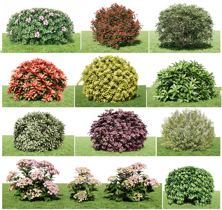 图片[3]-园林景观庭院植物花草树木绿篱乔木花卉灌木丛草图大师SU模型-刷子库
