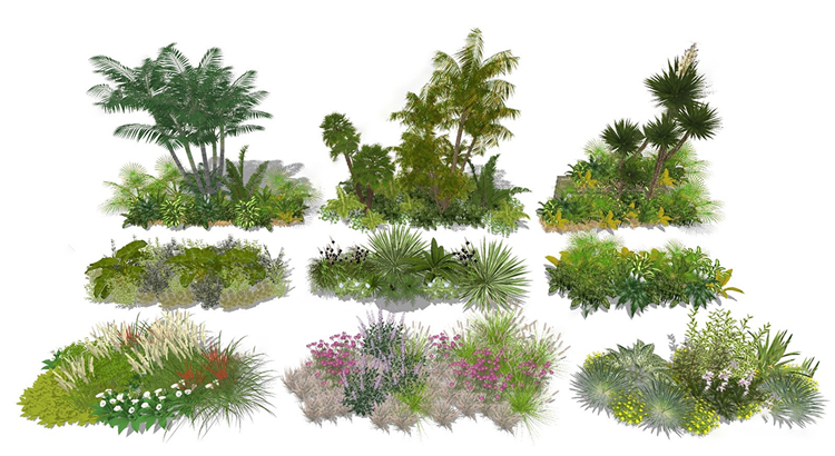 图片[5]-园林景观庭院植物花草树木绿篱乔木花卉灌木丛草图大师SU模型-刷子库