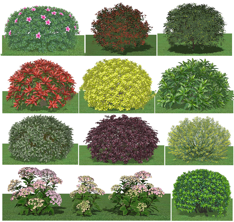 图片[4]-园林景观庭院植物花草树木绿篱乔木花卉灌木丛草图大师SU模型-刷子库