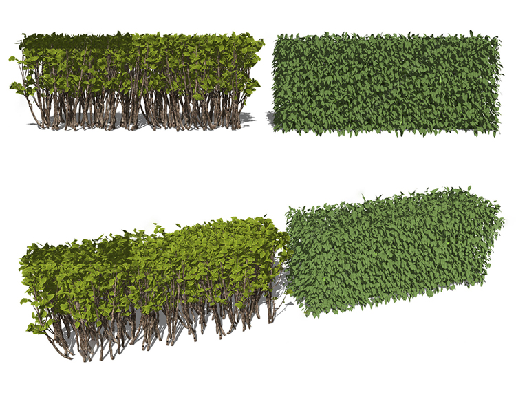 图片[8]-园林景观庭院植物花草树木绿篱乔木花卉灌木丛草图大师SU模型-刷子库