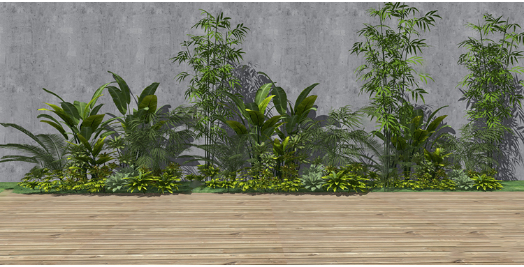 图片[11]-园林景观庭院植物花草树木绿篱乔木花卉灌木丛草图大师SU模型-刷子库