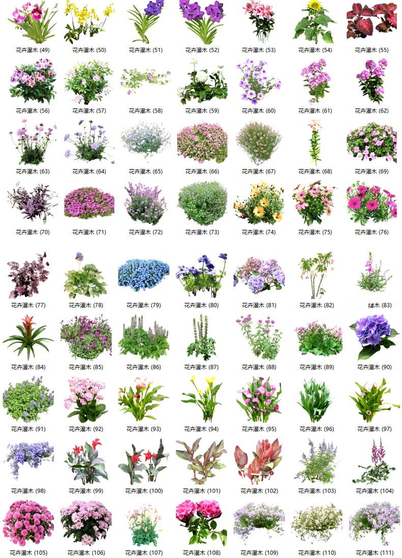 图片[13]-园林景观庭院植物花草树木绿篱乔木花卉灌木丛草图大师SU模型-刷子库