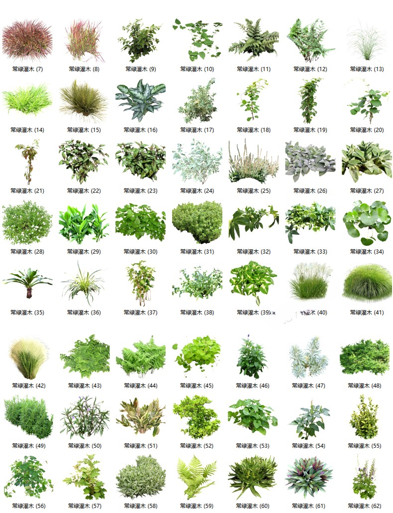 图片[16]-园林景观庭院植物花草树木绿篱乔木花卉灌木丛草图大师SU模型-刷子库