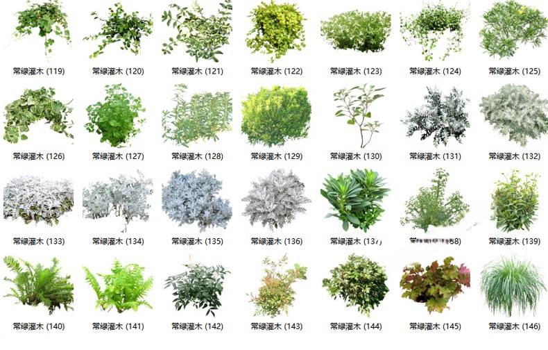 图片[18]-园林景观庭院植物花草树木绿篱乔木花卉灌木丛草图大师SU模型-刷子库