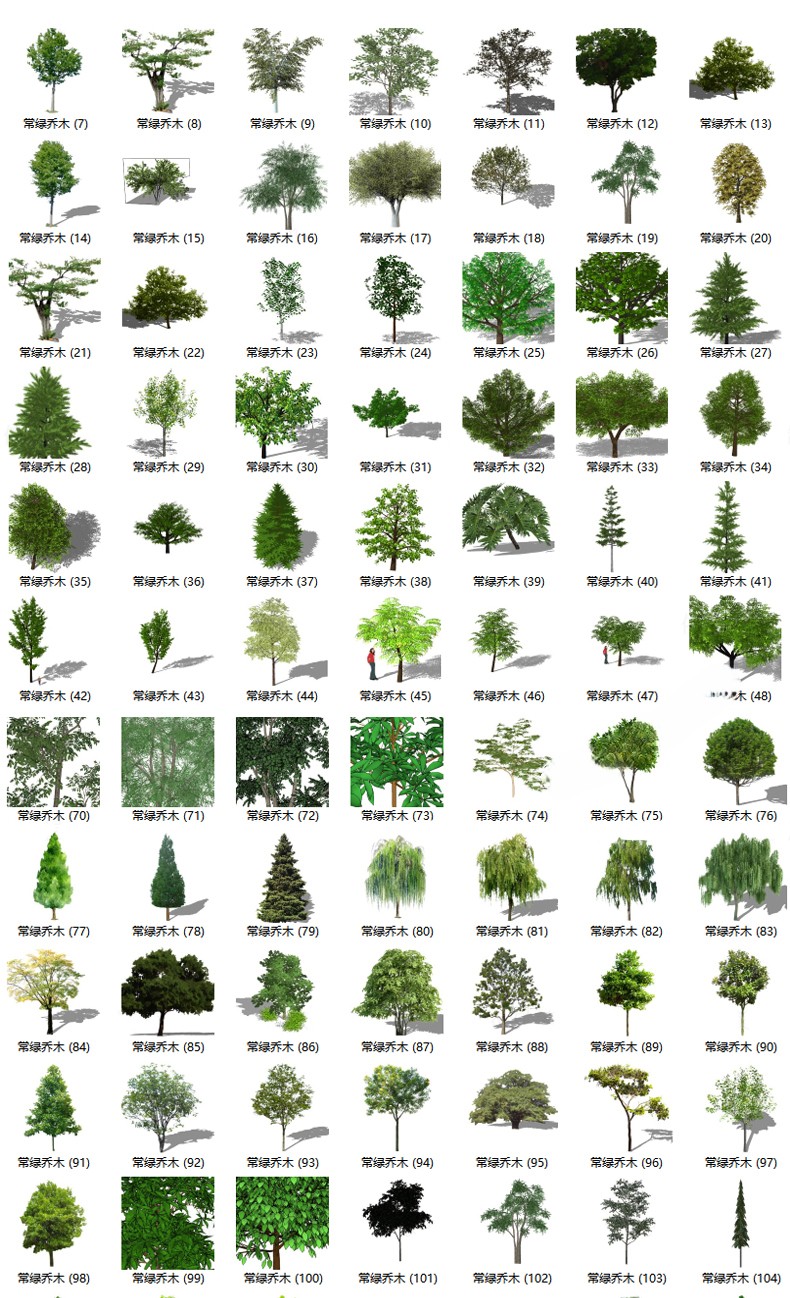 图片[20]-园林景观庭院植物花草树木绿篱乔木花卉灌木丛草图大师SU模型-刷子库