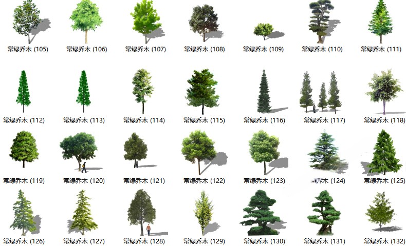 图片[21]-园林景观庭院植物花草树木绿篱乔木花卉灌木丛草图大师SU模型-刷子库