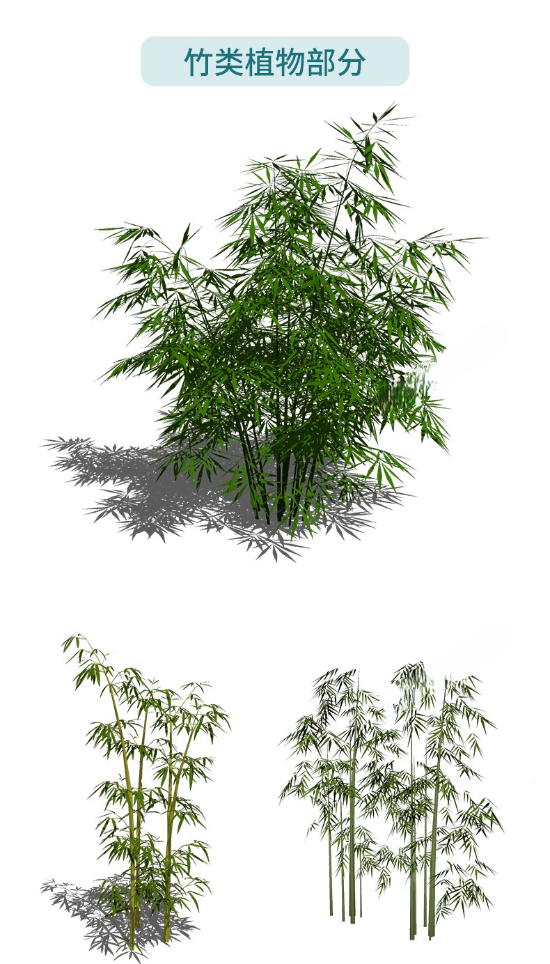 图片[24]-园林景观庭院植物花草树木绿篱乔木花卉灌木丛草图大师SU模型-刷子库