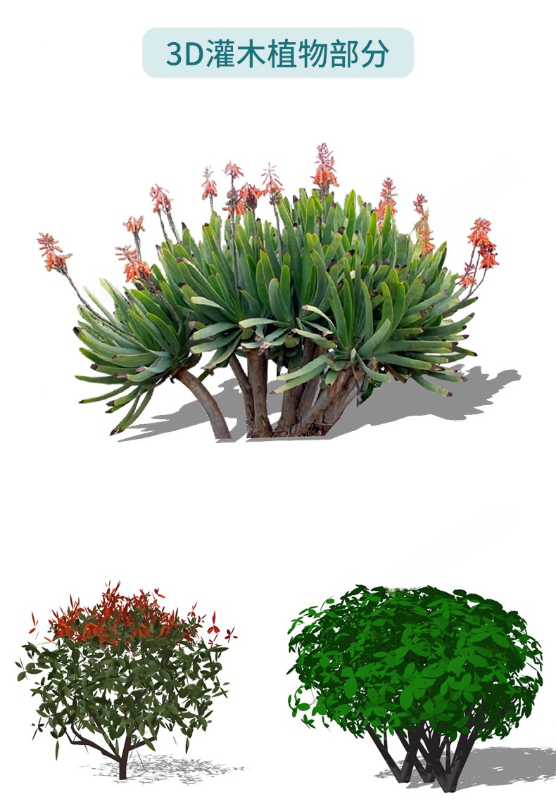 图片[26]-园林景观庭院植物花草树木绿篱乔木花卉灌木丛草图大师SU模型-刷子库