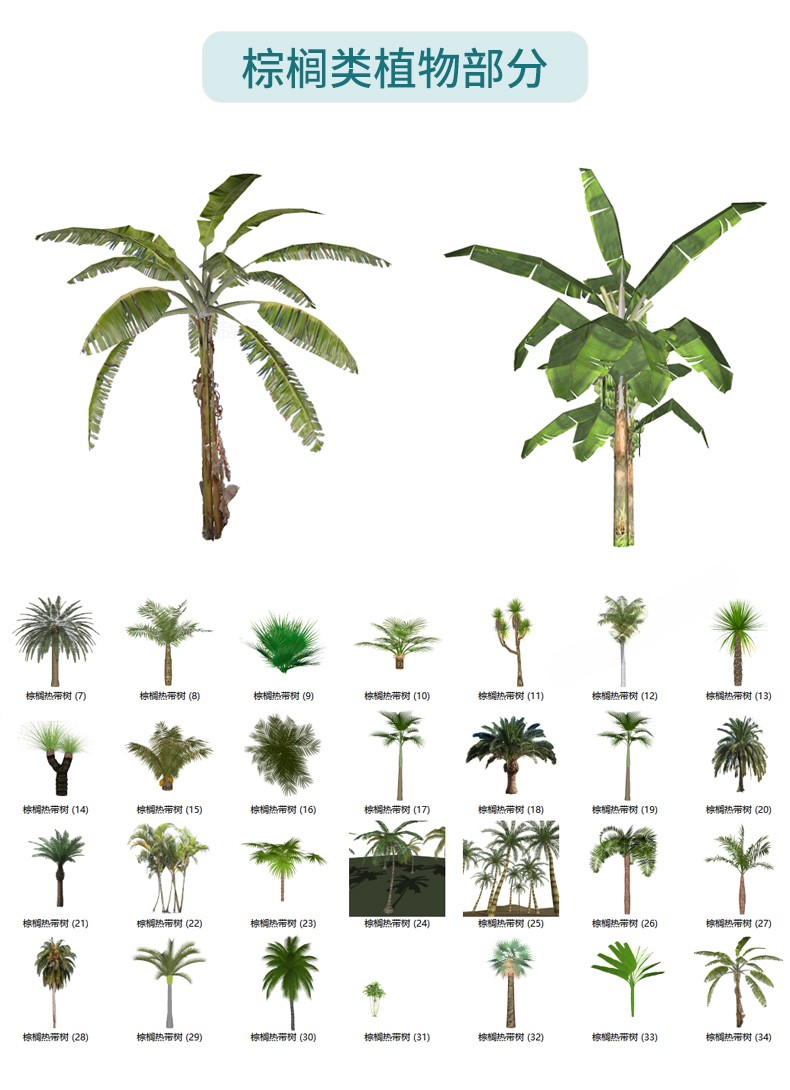 图片[28]-园林景观庭院植物花草树木绿篱乔木花卉灌木丛草图大师SU模型-刷子库