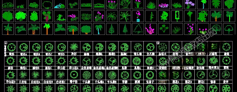 图片[16]-园林景观设计CAD植物图块人物平面立面铺装拼花施工图库图例素材-刷子库