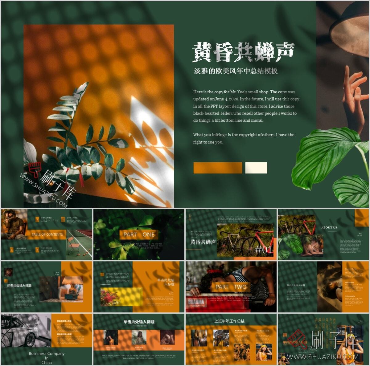 图片[11]-复古撞色系高级感PPT合集（68套）-刷子库