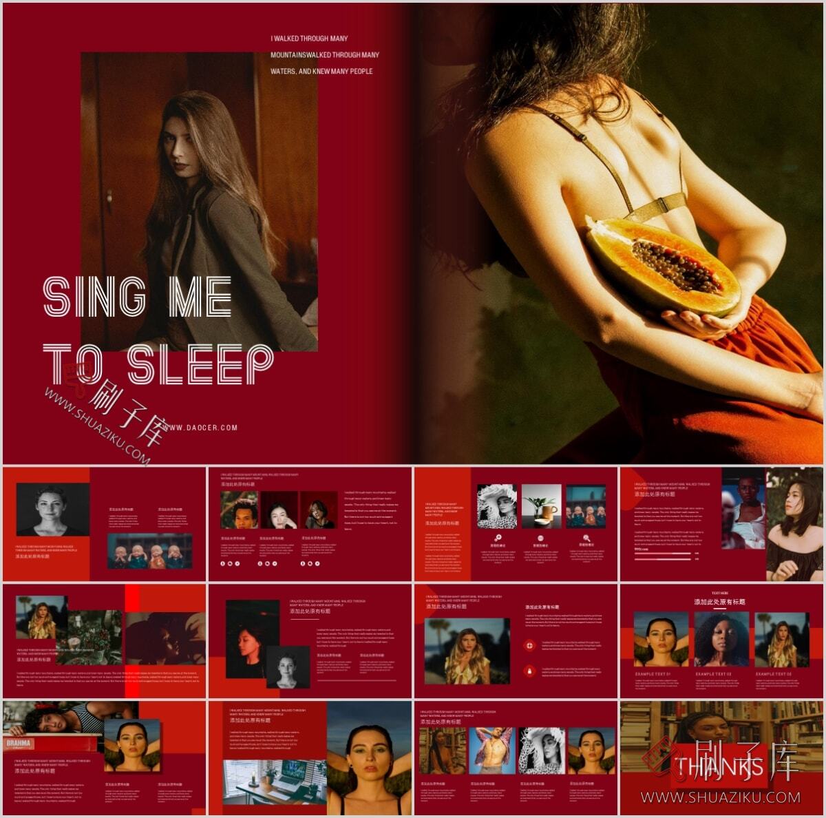 图片[15]-复古撞色系高级感PPT合集（68套）-刷子库