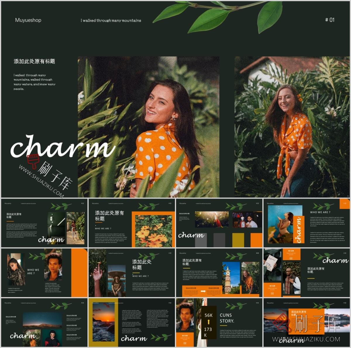 图片[27]-复古撞色系高级感PPT合集（68套）-刷子库