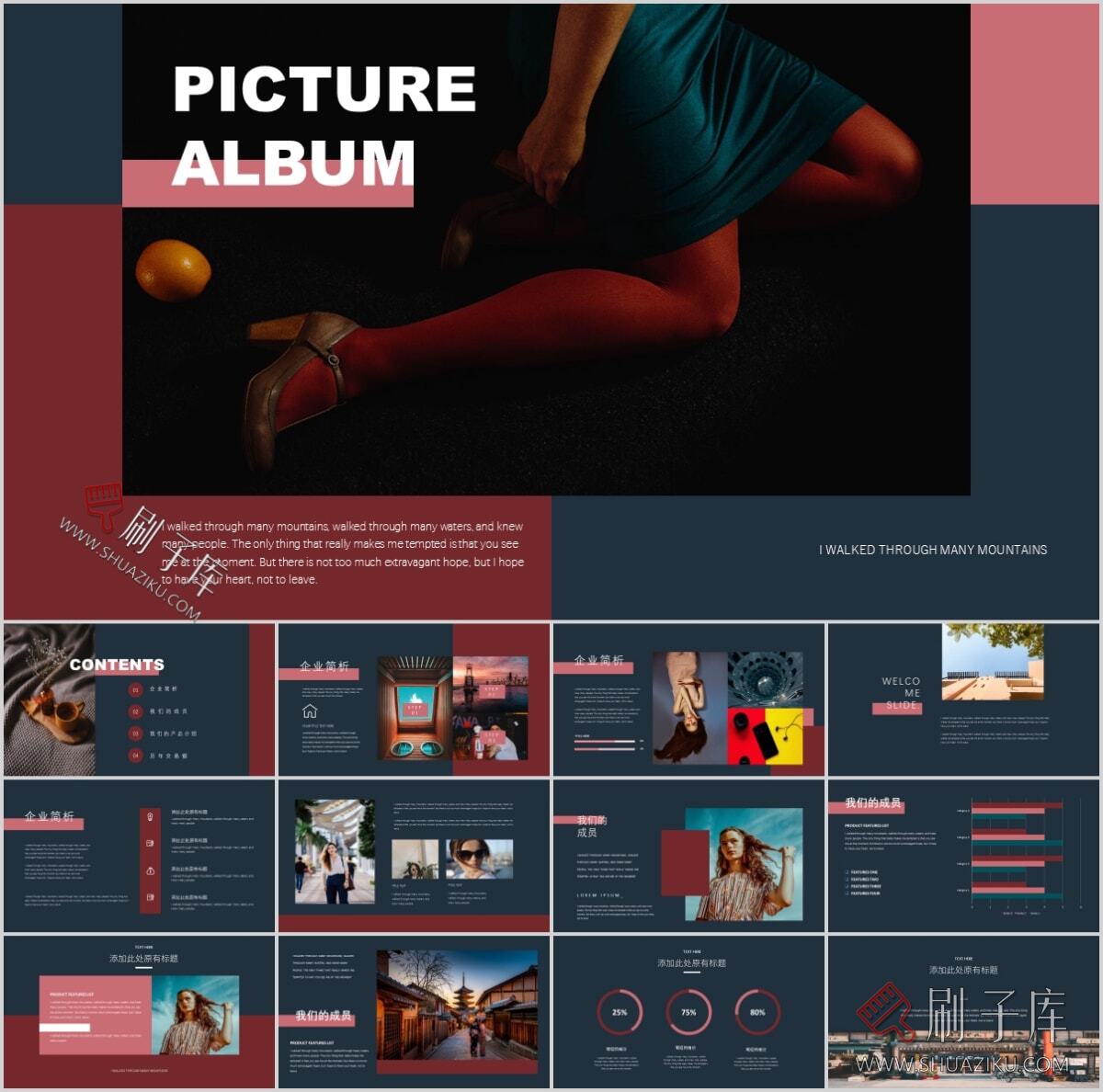 图片[61]-复古撞色系高级感PPT合集（68套）-刷子库