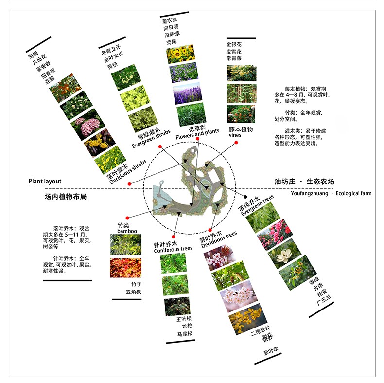 图片[30]-精选设计分析图十二套PSD可编辑-刷子库