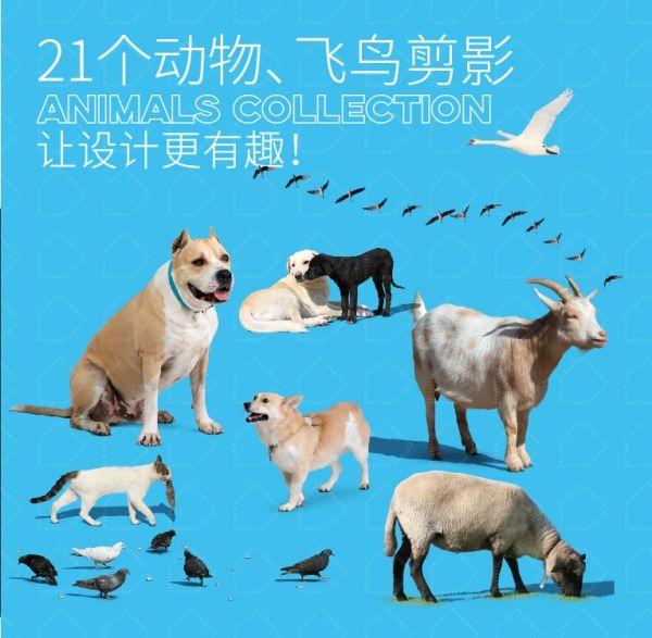 【高品质后期素材】21个动物飞鸟剪影-PSD-刷子库