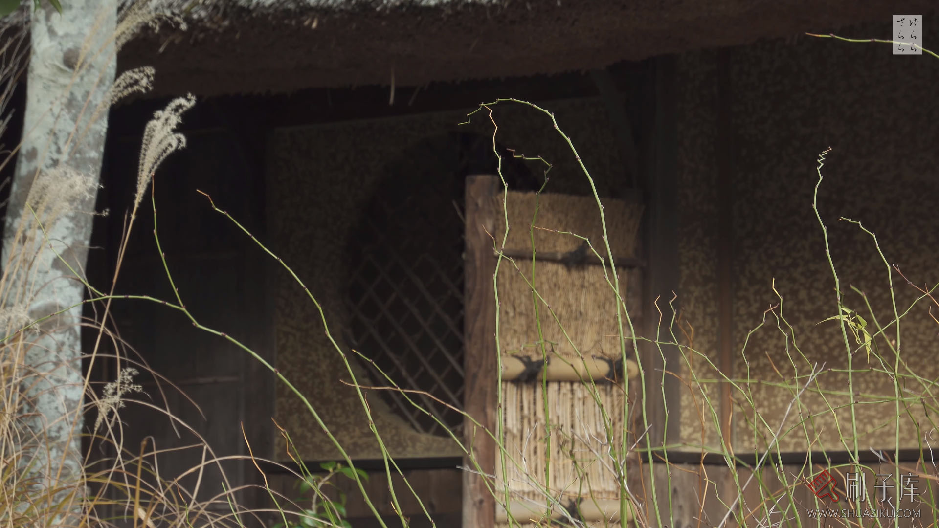 [4K]侘寂美学-落柿舎京都的庭院-3