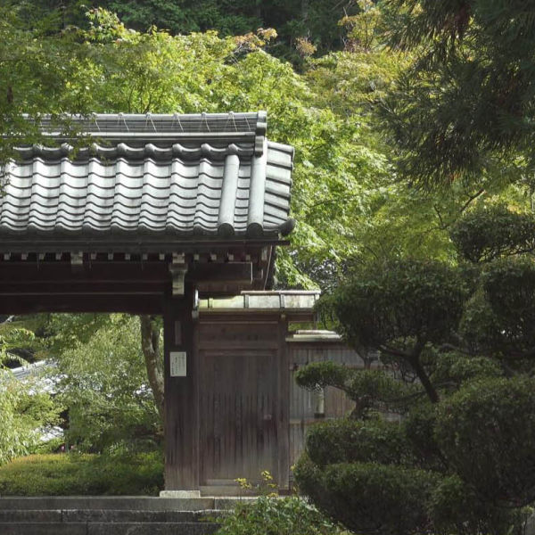 [4K]近江·孤篷庵 OUMI KOHOU-日式侘寂庭院