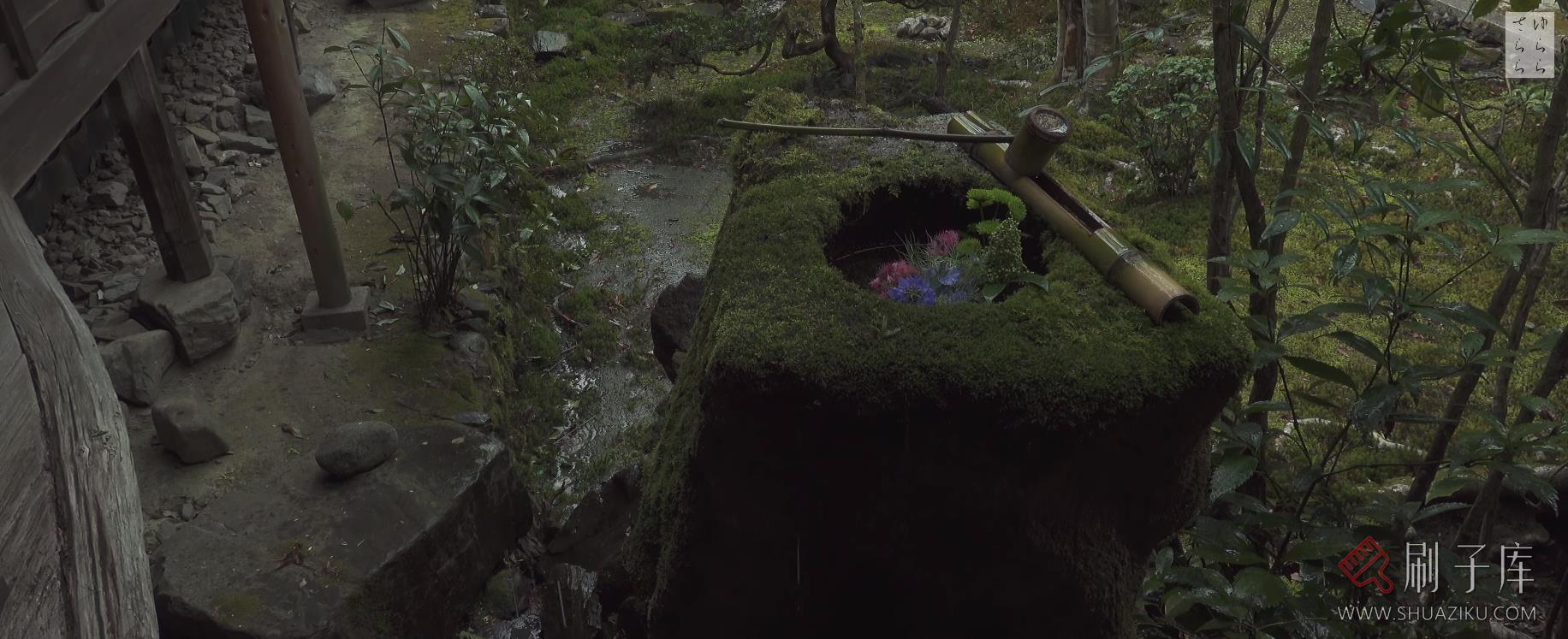 [4K]安楽寺・京都 ANRAKU-JI GARDEN-日式侘寂庭院-4