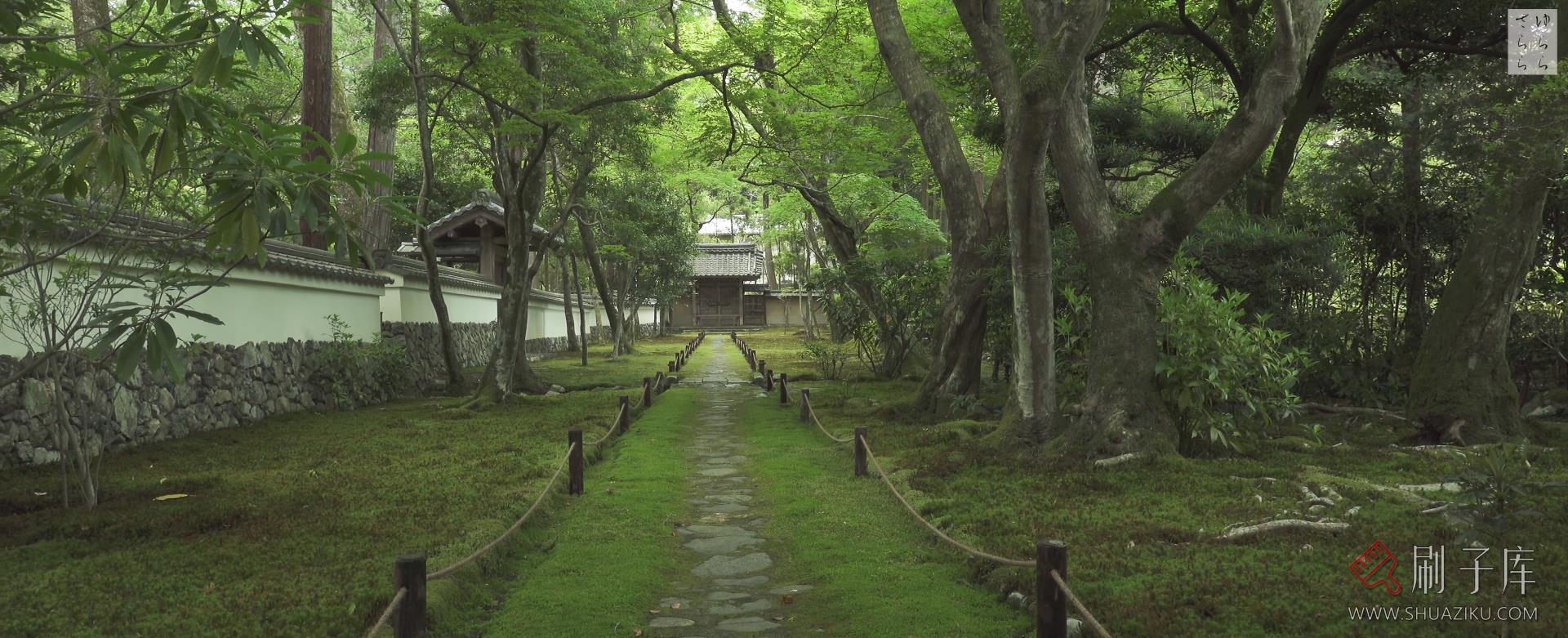 [4K]西芳寺 / 苔寺-日式侘寂·庭院-6