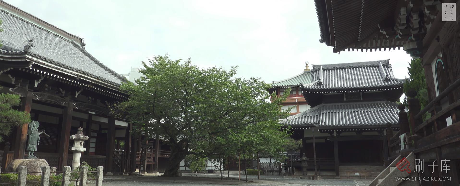 [4K]本法寺・京都-日式侘寂·庭院-3