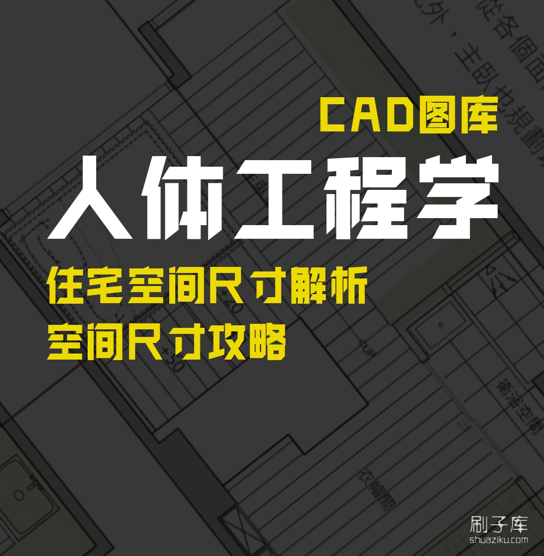 图片[1]-人体工程学CAD图纸图库-刷子库