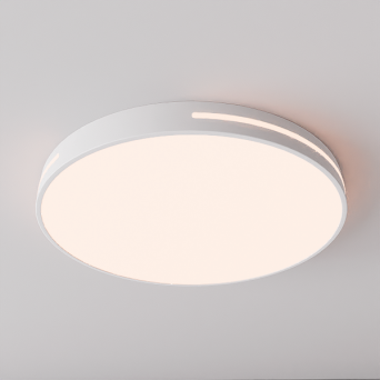 图片[17]-D5吸顶灯模型27个-刷子库