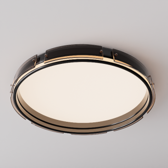 图片[18]-D5吸顶灯模型27个-刷子库