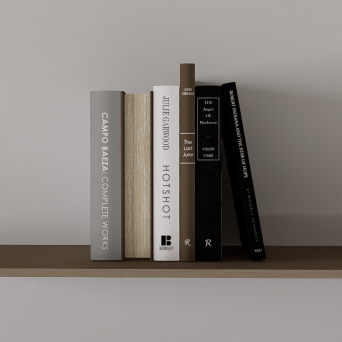 图片[14]-D5书籍模型18个-刷子库