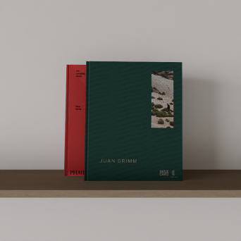 图片[8]-D5书籍模型20个-刷子库