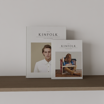 图片[15]-D5书籍模型20个-刷子库