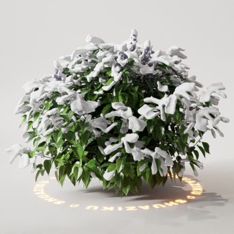 图片[1]-D5雪景植物模型22个-刷子库