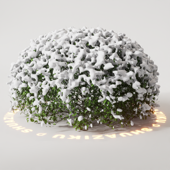 图片[4]-D5雪景植物模型22个-刷子库