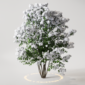 图片[8]-D5雪景植物模型22个-刷子库