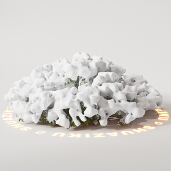 图片[7]-D5雪景植物模型22个-刷子库