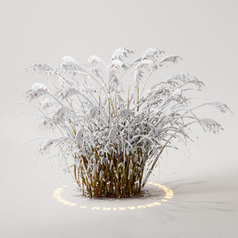 图片[10]-D5雪景植物模型22个-刷子库