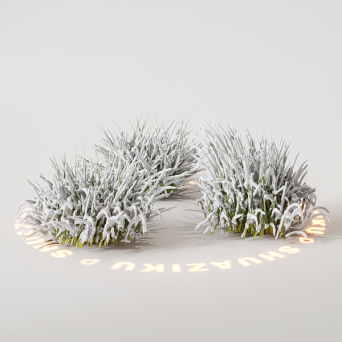 图片[19]-D5雪景植物模型22个-刷子库