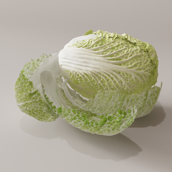 图片[15]-D5蔬菜模型24个-刷子库