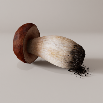 图片[19]-D5蔬菜模型24个-刷子库