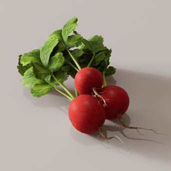 图片[24]-D5蔬菜模型24个-刷子库