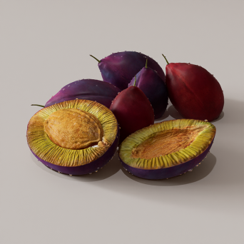 图片[12]-D5水果模型17个-刷子库