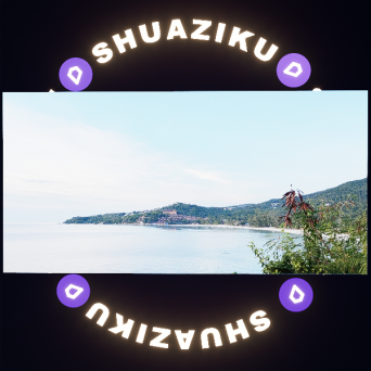 图片[3]-D5动态外景材质14款-刷子库