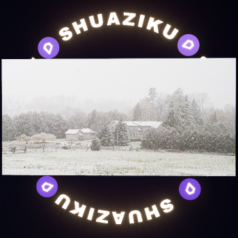 图片[6]-D5动态外景材质14款-刷子库