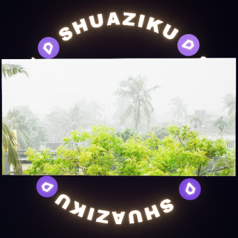 图片[8]-D5动态外景材质14款-刷子库