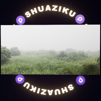 图片[9]-D5动态外景材质14款-刷子库