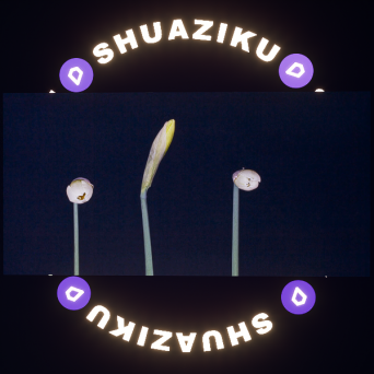 图片[9]-D5动态屏幕材质16款-刷子库