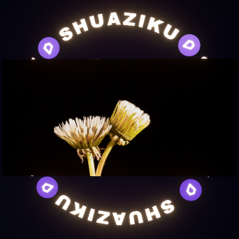 图片[8]-D5动态屏幕材质16款-刷子库