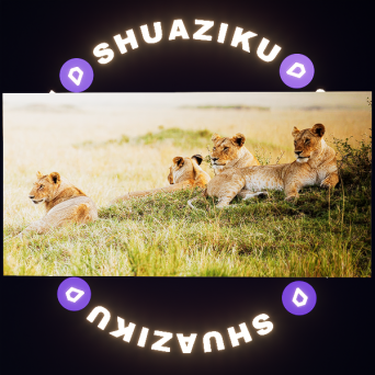 图片[16]-D5动态屏幕材质16款-刷子库